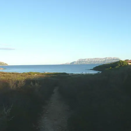 Palmtreehouse-sardiniaencharming&relaxing *