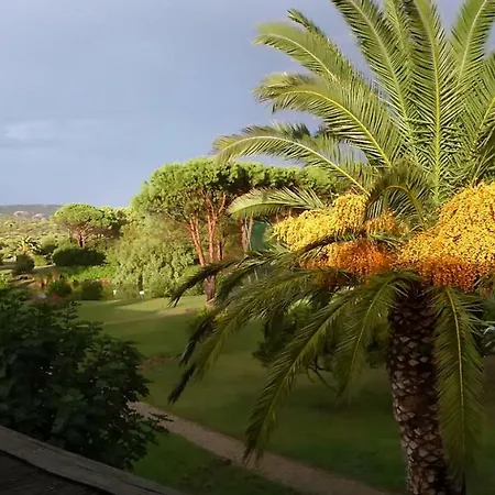 Palmtreehouse-sardiniaencharming&relaxing *