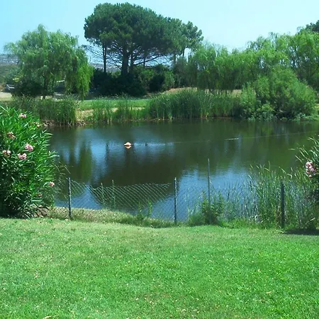 Palmtreehouse-sardiniaencharming&relaxing Holiday home Olbia